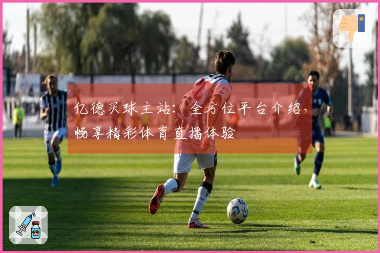 亿德买球主站：全方位平台介绍，畅享精彩体育直播体验