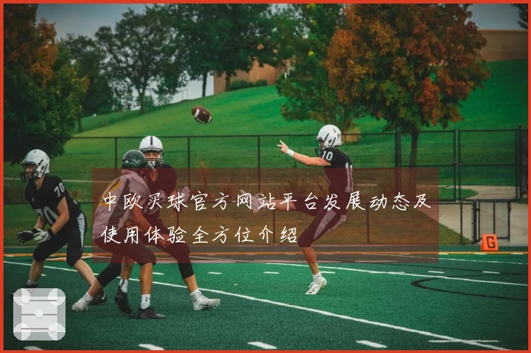 中欧买球官方网站平台发展动态及使用体验全方位介绍