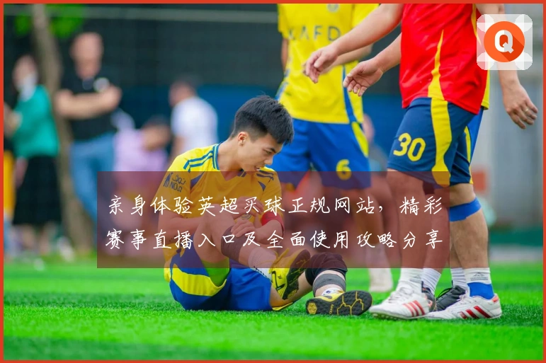 亲身体验英超买球正规网站，精彩赛事直播入口及全面使用攻略分享