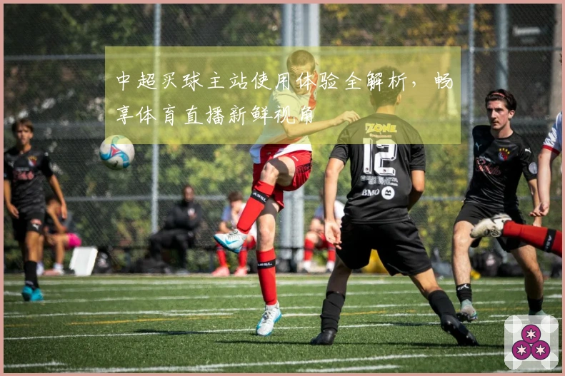 中超买球主站使用体验全解析，畅享体育直播新鲜视角