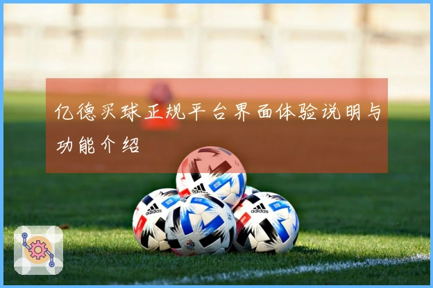 亿德买球正规平台界面体验说明与功能介绍