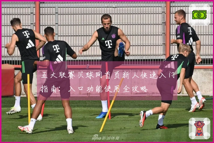 五大联赛买球网首页新人快速入门指南：入口功能使用全攻略