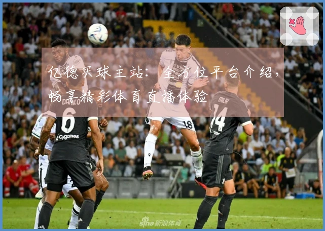 亿德买球主站：全方位平台介绍，畅享精彩体育直播体验