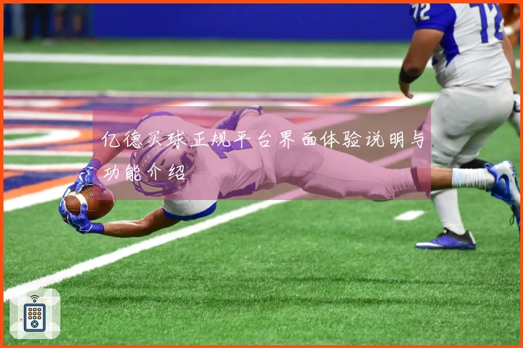 亿德买球正规平台界面体验说明与功能介绍