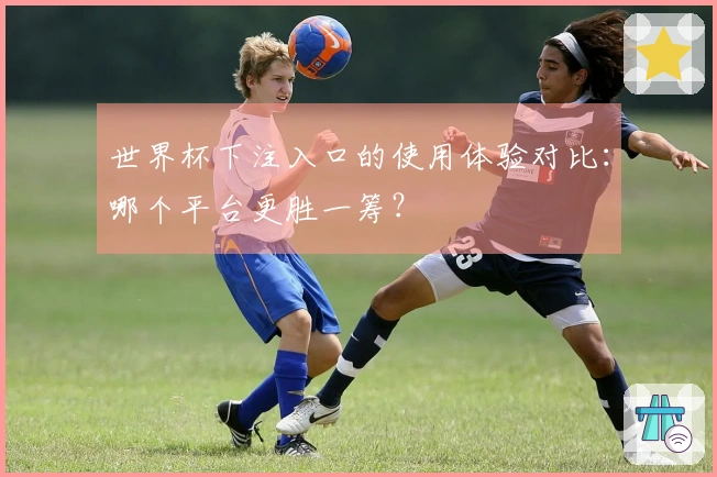 世界杯下注入口的使用体验对比：哪个平台更胜一筹？