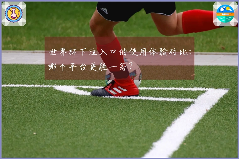 世界杯下注入口的使用体验对比：哪个平台更胜一筹？