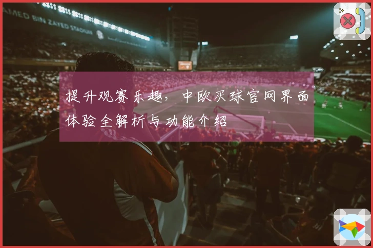 提升观赛乐趣，中欧买球官网界面体验全解析与功能介绍