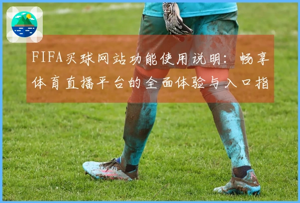 FIFA买球网站功能使用说明：畅享体育直播平台的全面体验与入口指南