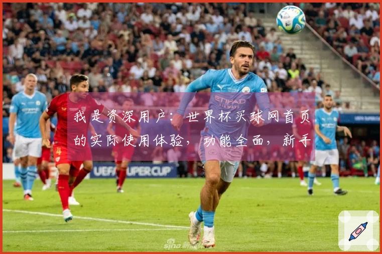 我是资深用户：世界杯买球网首页的实际使用体验，功能全面，新手也能轻松上手