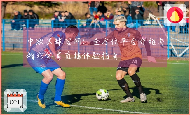 中欧买球官网：全方位平台介绍与精彩体育直播体验指南