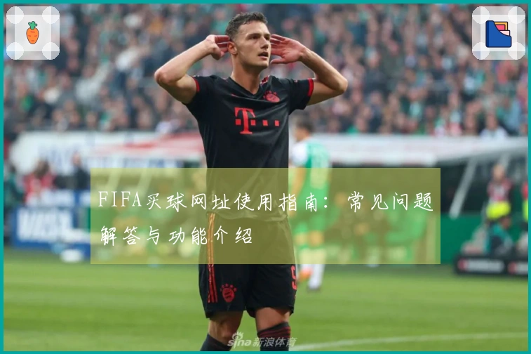 FIFA买球网址使用指南：常见问题解答与功能介绍